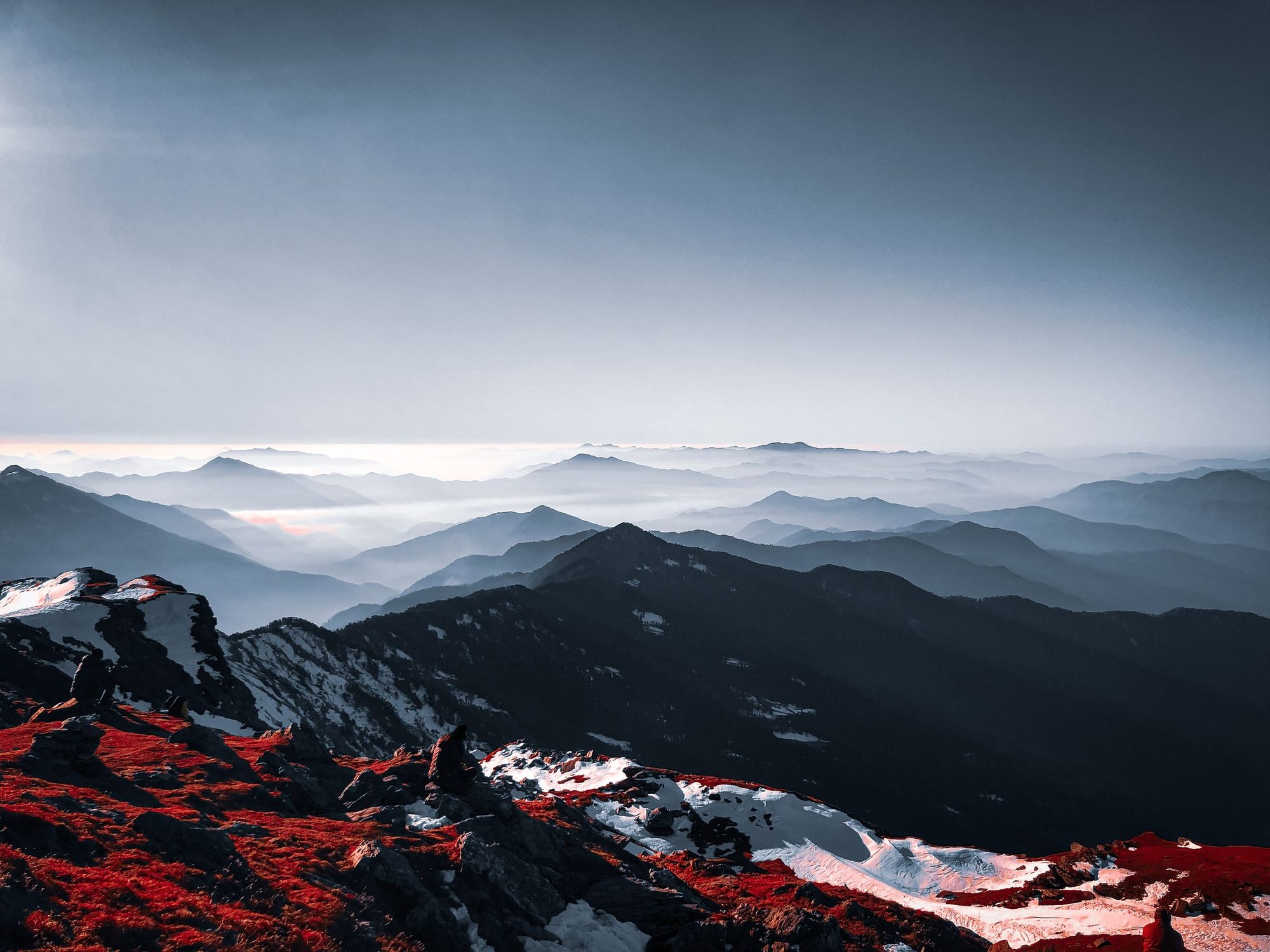 Layered mountain ridges in morning haze with red heather in the foreground